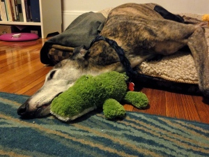 Snuggling with stuffed alligator toy